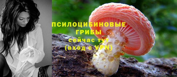 дживик Михайлов