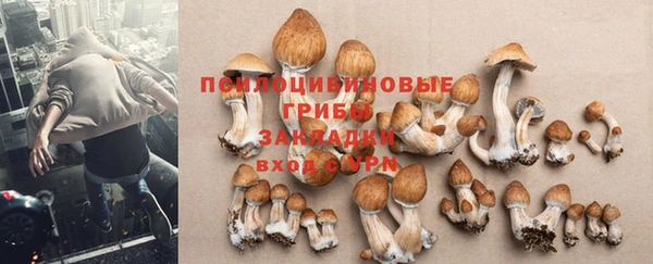 прущий лед Артём