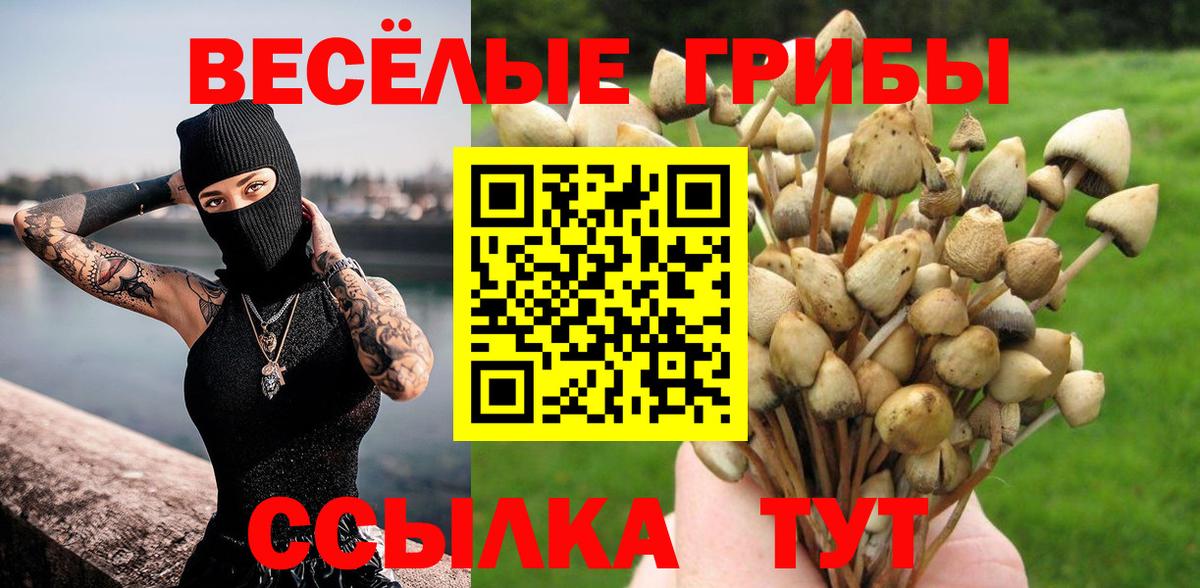 Галлюциногенные грибы мицелий  Вход с VPN  Казань 